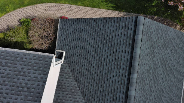Best Skylight Installation and Repair  in Stewartville, AL